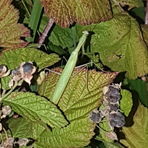 20190818_205651.jpg