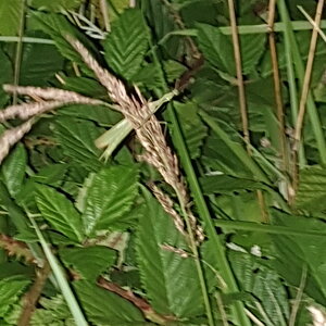 20190818_205737.jpg