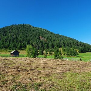 20190821_095627.jpg
