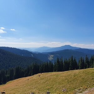 20190821_105617.jpg