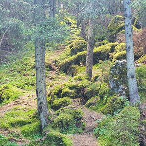 20190821_113118.jpg