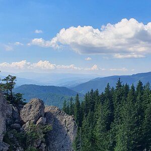 20190821_114956.jpg