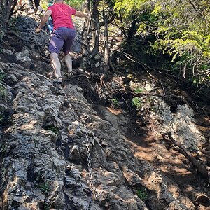 20190821_120438.jpg