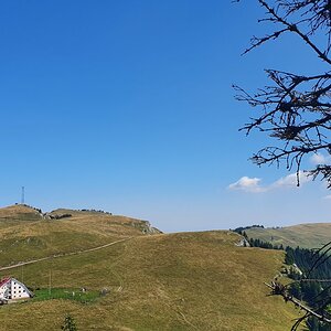 20190821_120723.jpg