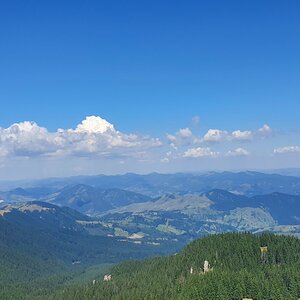 20190821_121101.jpg