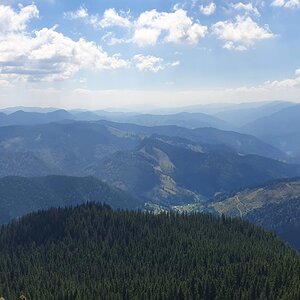 20190821_121151.jpg
