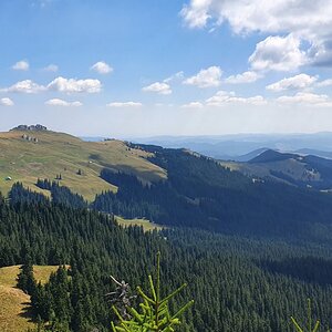 20190821_121200.jpg