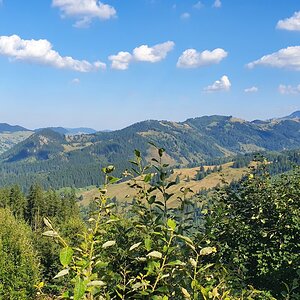 20190821_164513.jpg