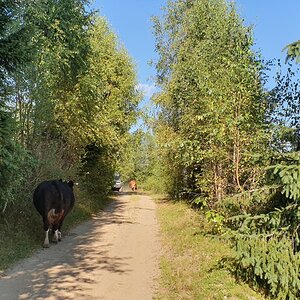 20190821_172633.jpg
