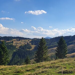 20190821_173719.jpg