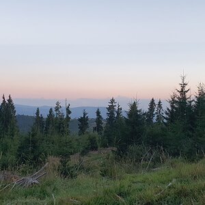 20190821_202125.jpg