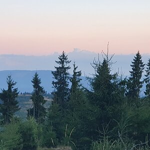 20190821_202137.jpg