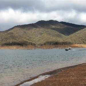IMG_5980.jpg
