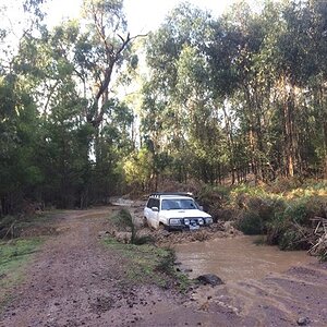 IMG_6340.jpg