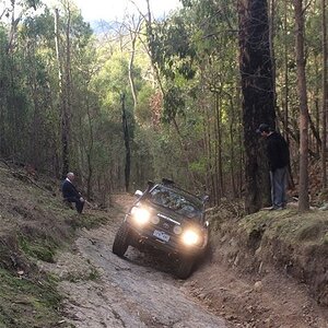 IMG_6358.jpg
