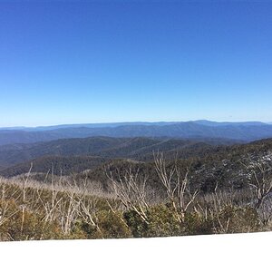 IMG_6905.jpg