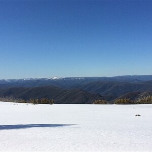 IMG_6953.jpg
