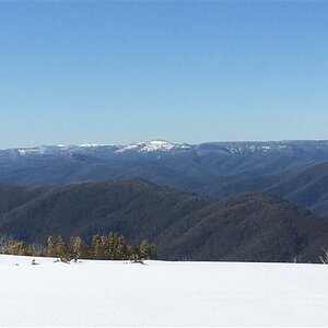 IMG_6954.jpg