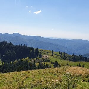 20190823_115652.jpg