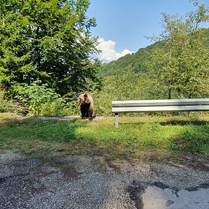 20190828_122358.jpg