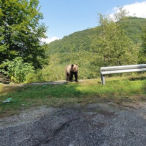 20190828_122400.jpg