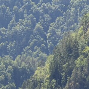 20190828_124230.jpg