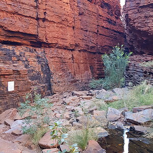 20190906_085851.jpg