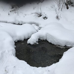 4C418D60-1DBA-46F0-8817-2F322807F588.jpeg