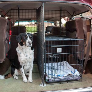 Dog Guard-1-5.jpg