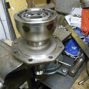 CV in situ.JPG