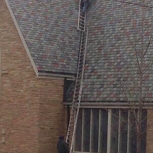 1390549908_ladder-idiot.jpg