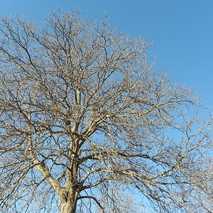 DSCN3200.JPG