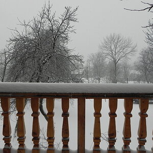 DSCN3296.JPG