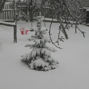 DSCN3305.JPG