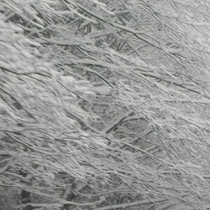 DSCN3358.JPG