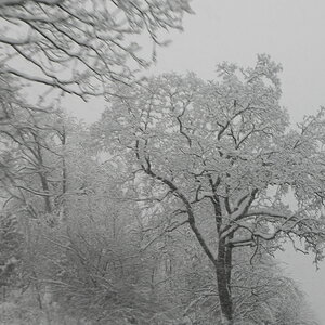 DSCN3359.JPG