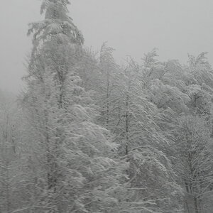 DSCN3360.JPG