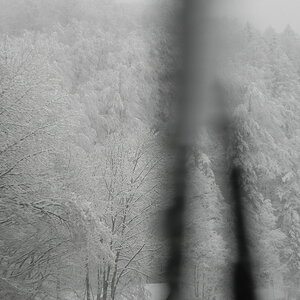 DSCN3361.JPG