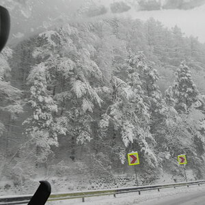 DSCN3362.JPG