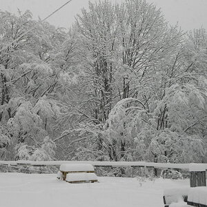 DSCN3366.JPG