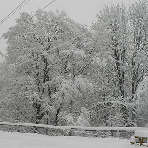 DSCN3368.JPG