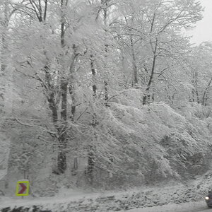 DSCN3392.JPG