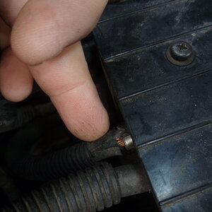 To input fuse 1.JPG