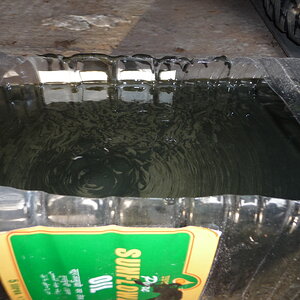 Contaminated diff oil.JPG