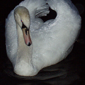 20-01.01.03 - Ullswater - Pooley Bridge (7a).jpg