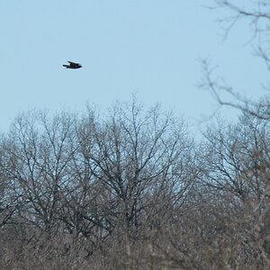 IMG_2004.JPG