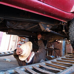 WS-locals-07.jpg