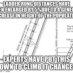 ladder.jpg