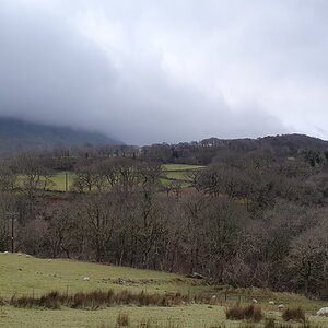 20200125_083247.jpg