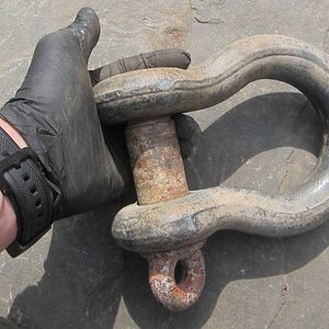 big-d-ring-shackle-1_25-inch.max-600x600.jpg